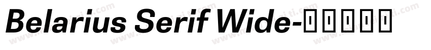 Belarius Serif Wide字体转换